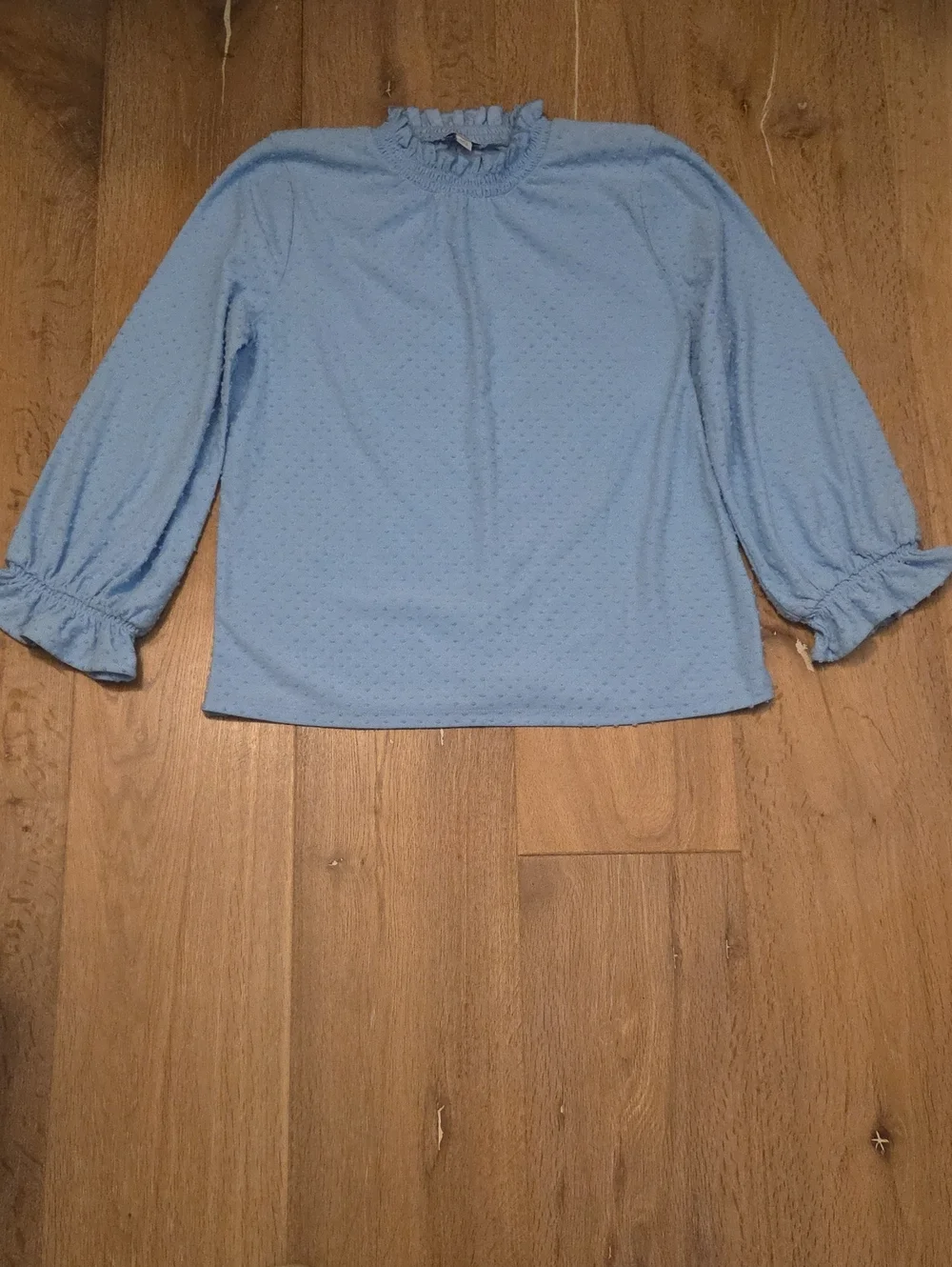 J. Crew Baby Blue Long Sleeve Clip Dot Top Ruffle Trim Classic Romantic M